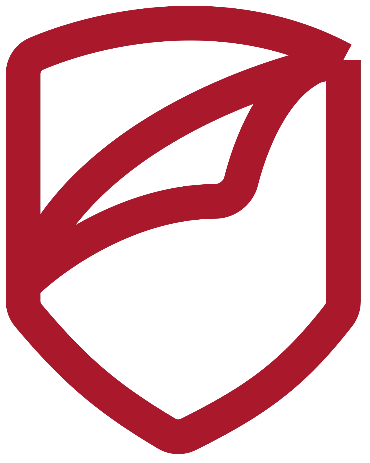 invisibleshield